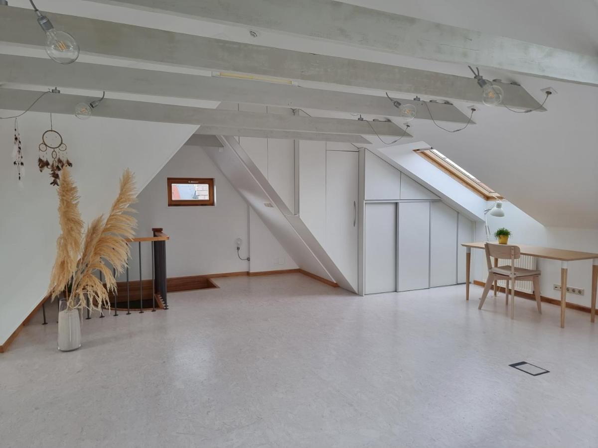 Old Town Jiva Apartment Каунас Екстер'єр фото