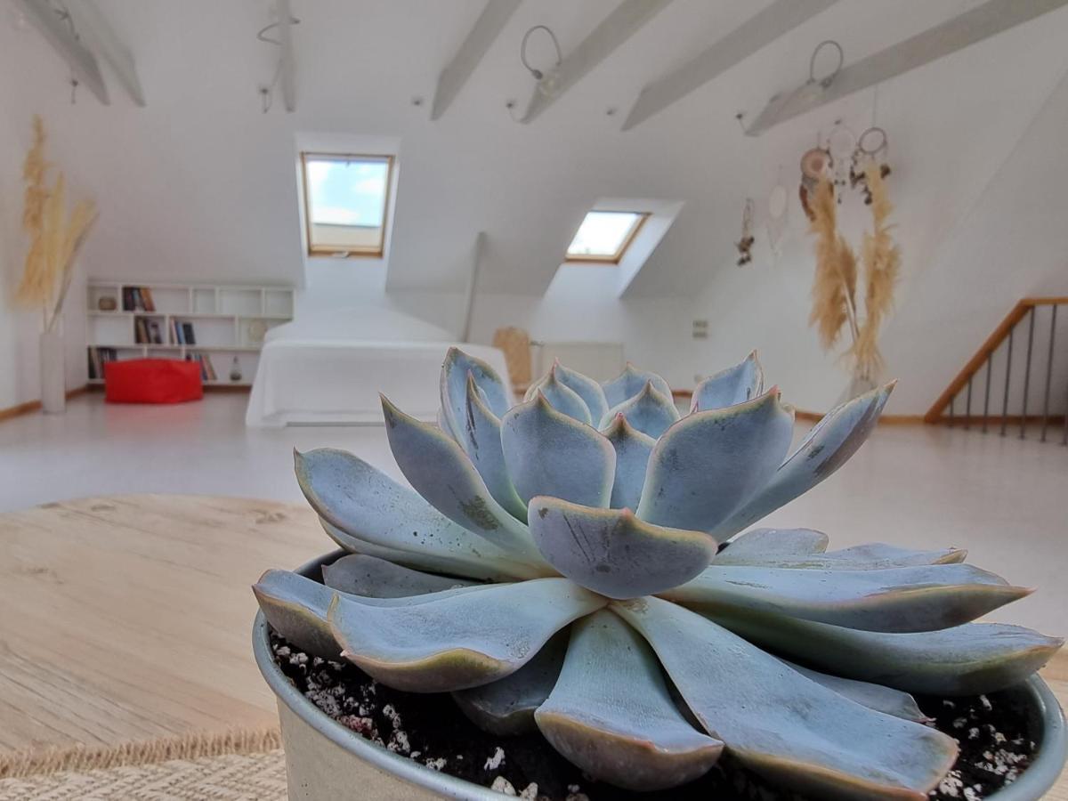 Old Town Jiva Apartment Каунас Екстер'єр фото