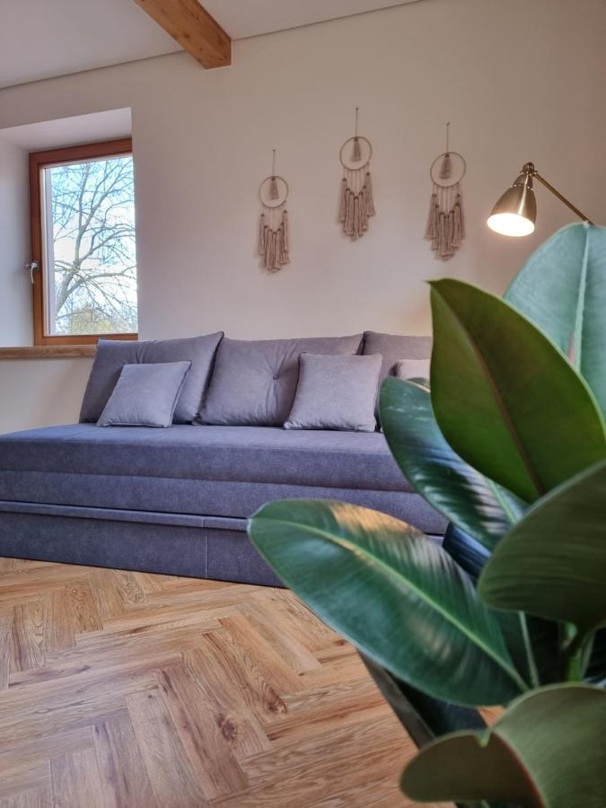 Old Town Jiva Apartment Каунас Екстер'єр фото